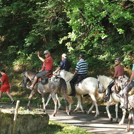 Ferienhaus Les Du Moulin Du Chatain 1 *