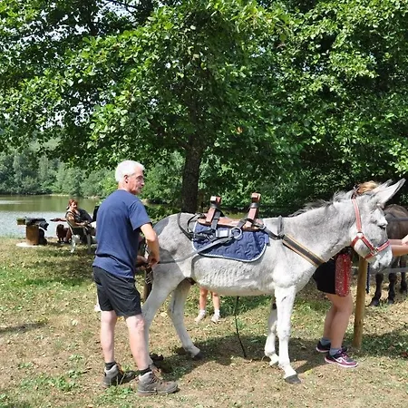 Les Du Moulin Du Chatain 1 Ferienhaus Payzac (Dordogne)