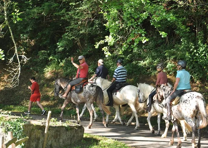 Les Du Moulin Du Chatain 1 Шале *
