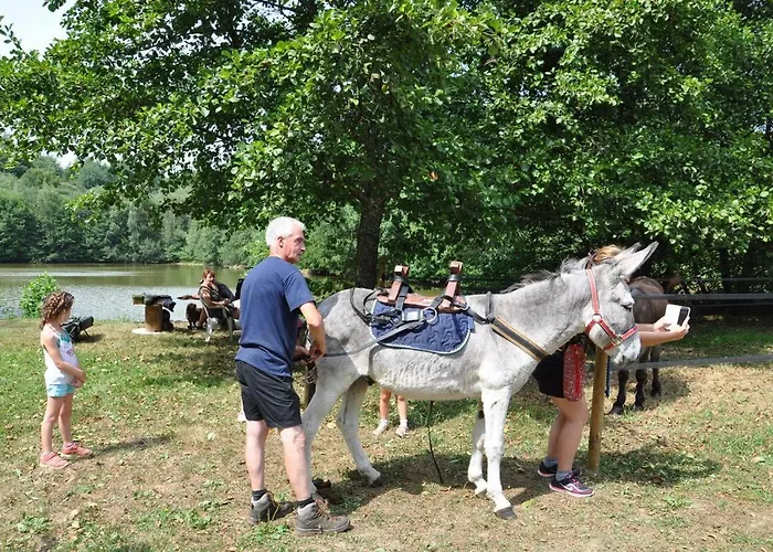 Les Du Moulin Du Chatain 1 Payzac (Dordogne)